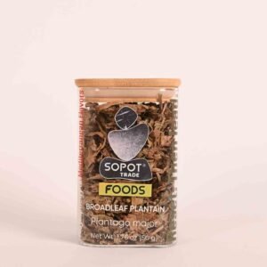 Broadleaf Plantain Herbal Tea (Plantago major) – Loose Leaf for Gut Repair, Inflammation Support & Skin Healing