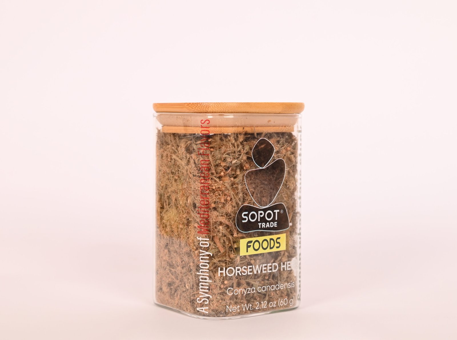 Horseweed Herbal Tea – Loose Leaf for Kidney Support, Joint Strength & Natural Detox (Conyza canadensis) - Image 2