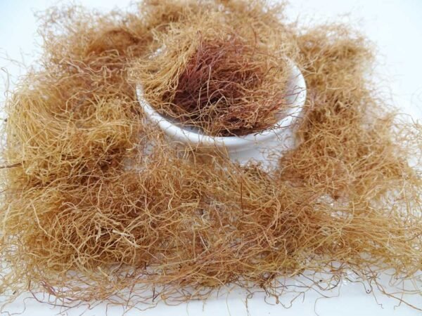 Corn Silk Herbal Tea (Zea mays) – Loose Leaf for Water Retention, Kidney Relief & Gentle Detox