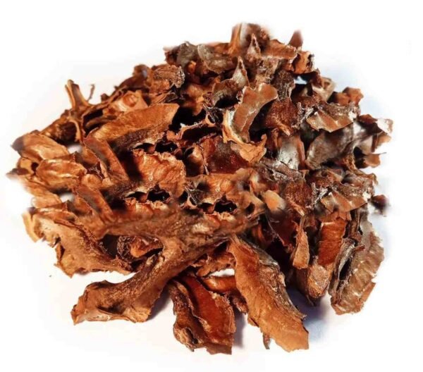 Walnut Shell Herbal Tea (Juglans regia) – Loose Shell Cuts for Gut Defense, Parasite Detox & Inner Shielding